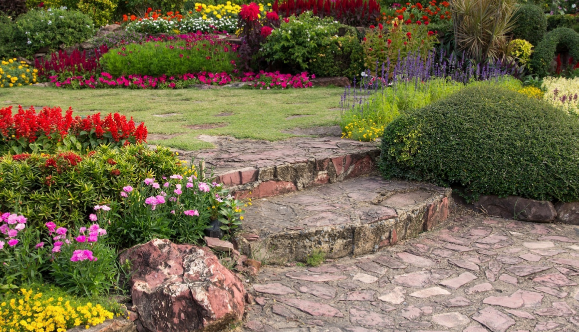 ¿Estás buscando una empresa de jardinería y mantenimiento?