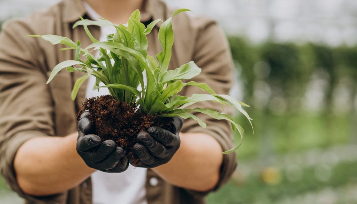 Inauguramos nuestra nueva web oficial jardineriaiglesias.com