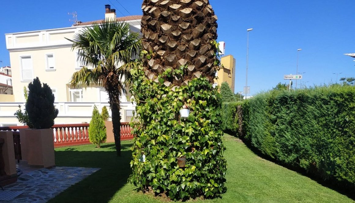 Jardinería Iglesias, jardinería y paisajismo con identidad propia