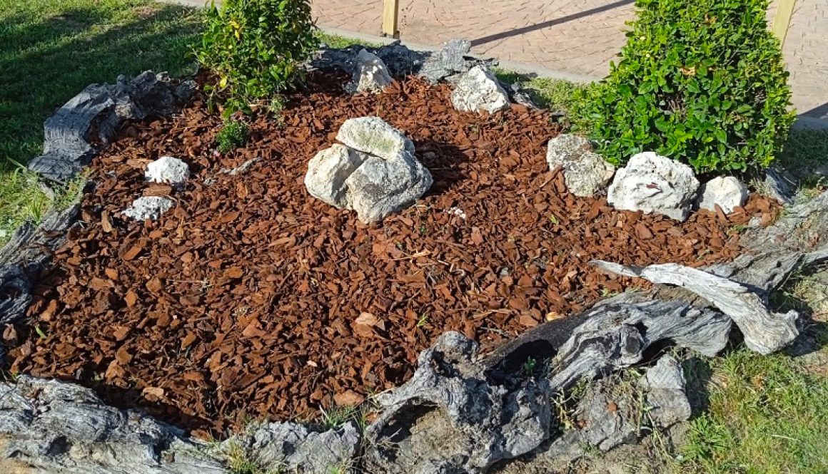 Damos el salto a las redes sociales (Facebook e Instagram)